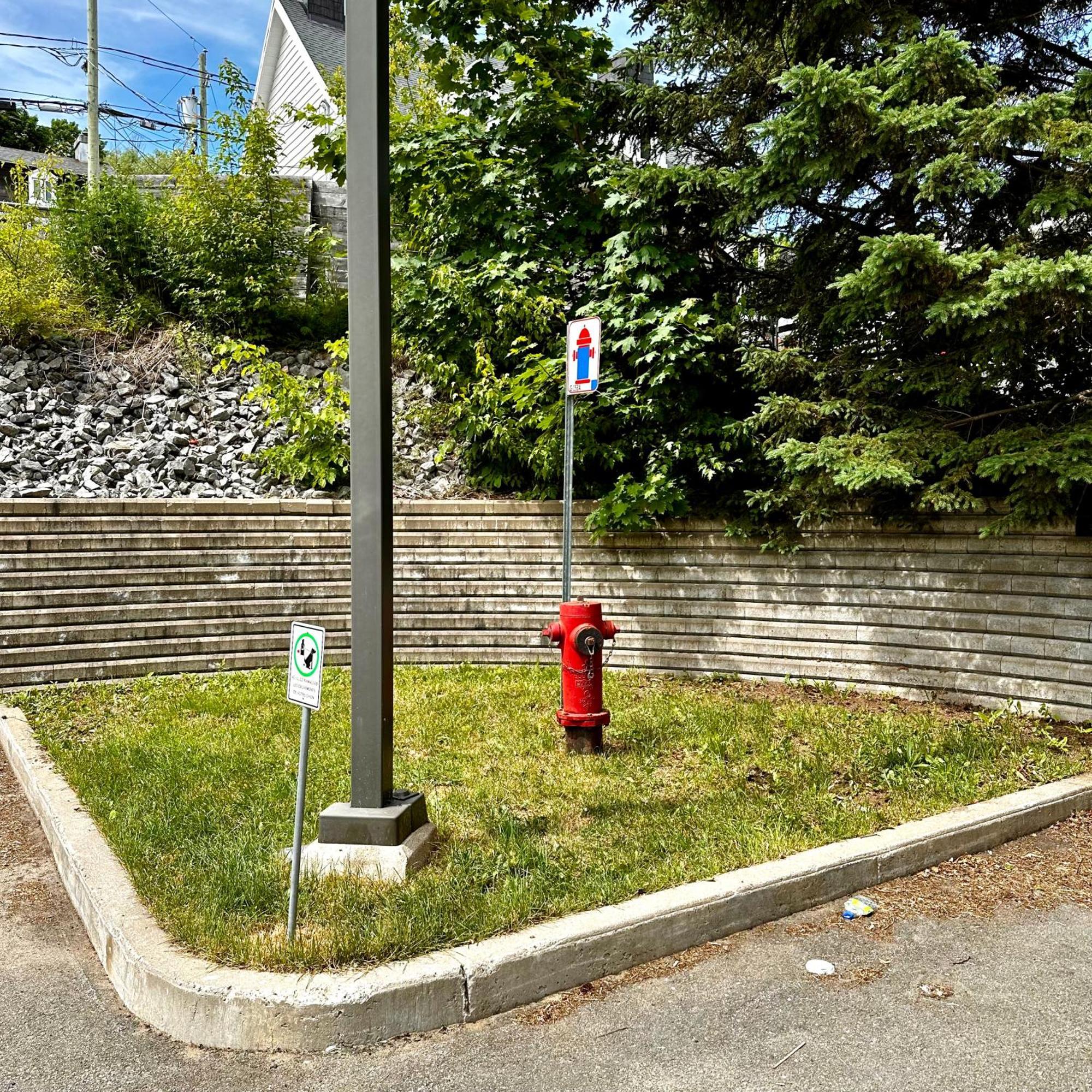 Initial - Horizon - Chutes-Montmorency Boischatel Luaran gambar